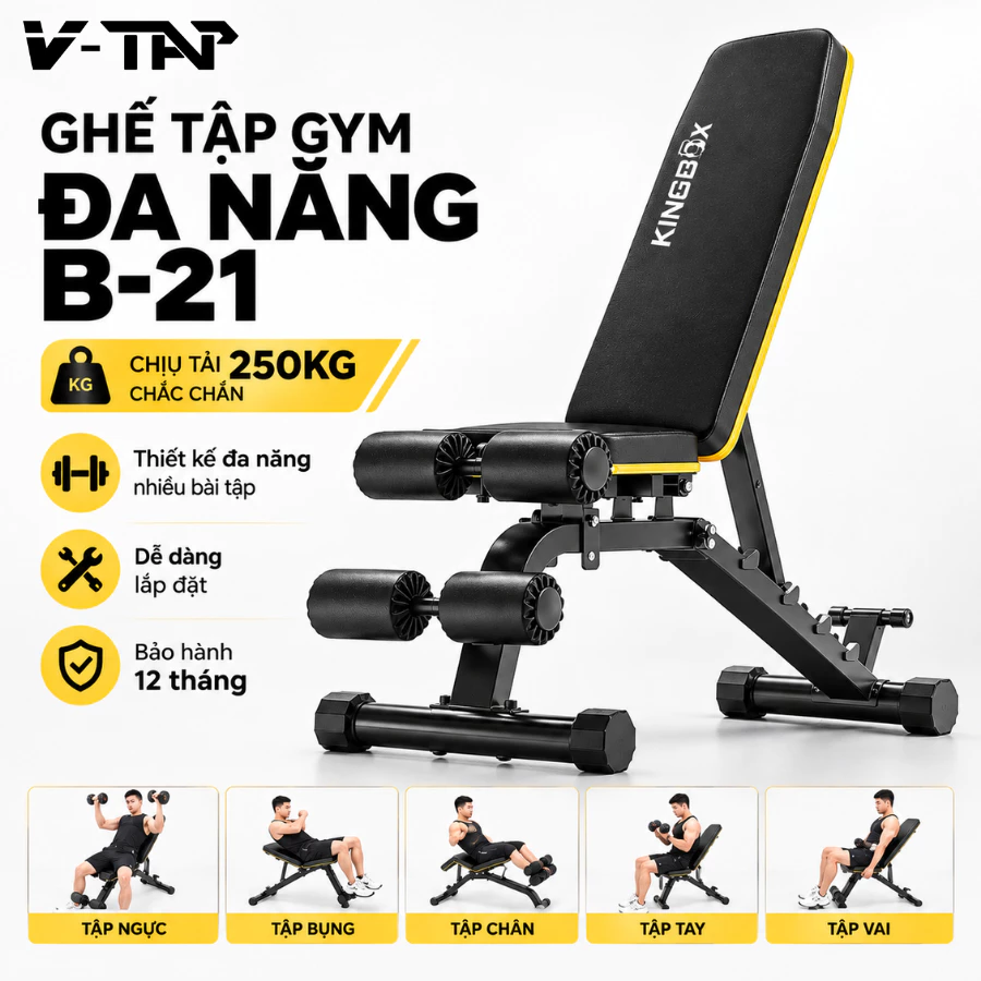 Ghế Tập Gym Tại Nhà B21 Chịu Tải 250kg An Toàn Luyện Tập, Ghế Tập Tạ Thép Hộp Nguyên KhốI