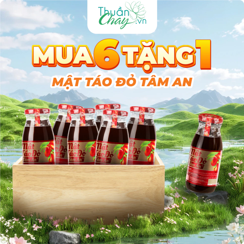 [COMBO 6 TẶNG 1] Mật Táo Đỏ Tâm An - 250ml