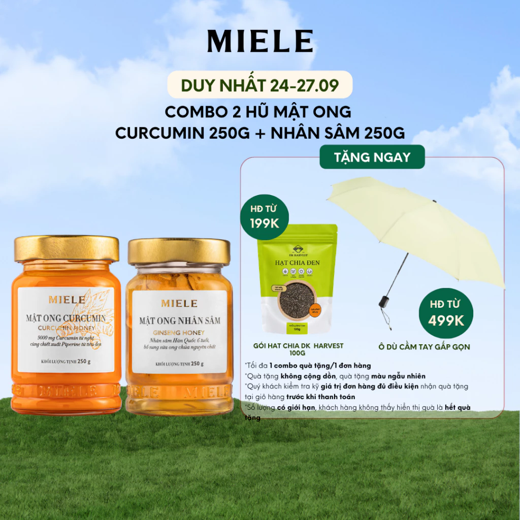 Combo Mật Ong Curcumin 250g + Mật Ong Nhân Sâm Miele 250g