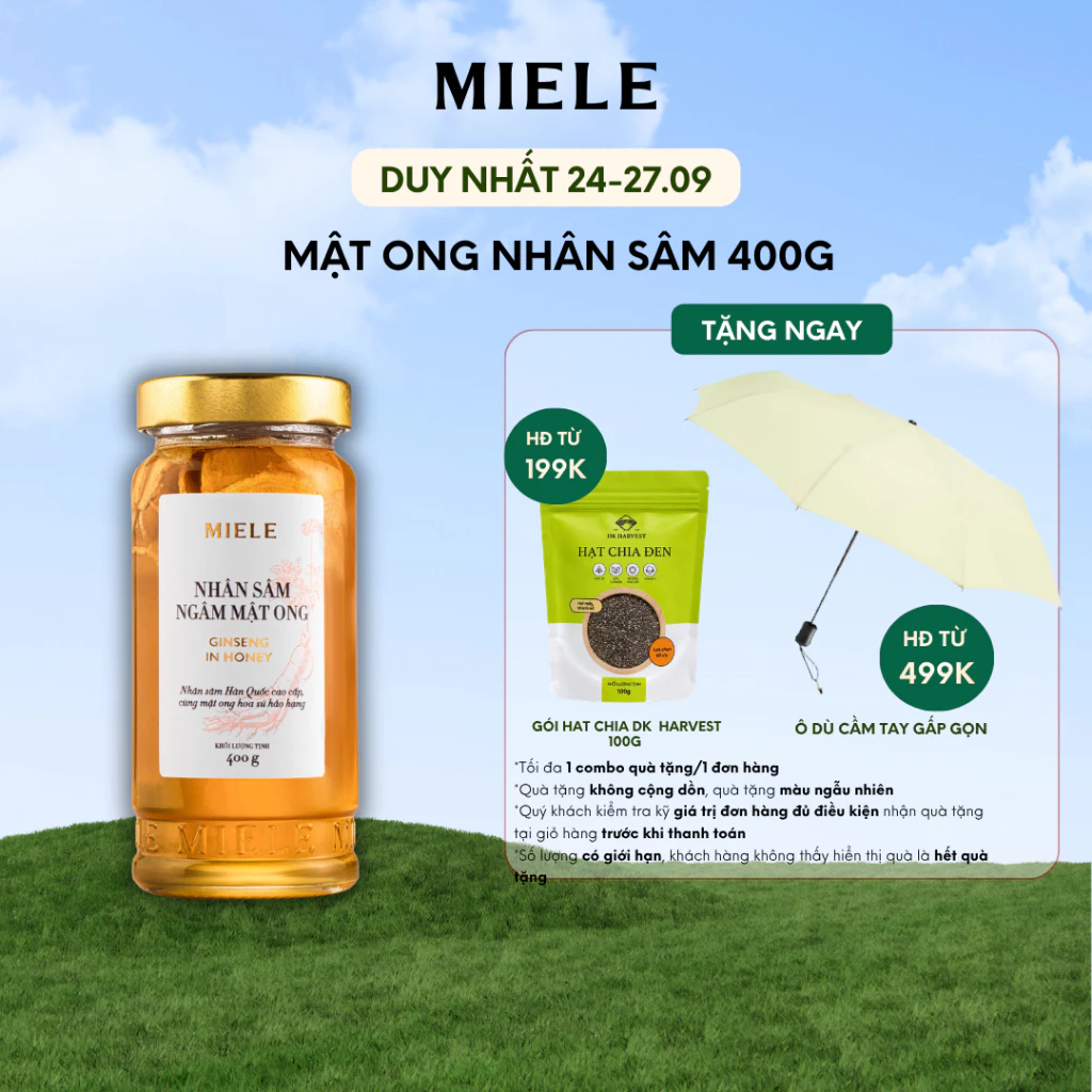 Mật Ong Nhân Sâm Miele 400g