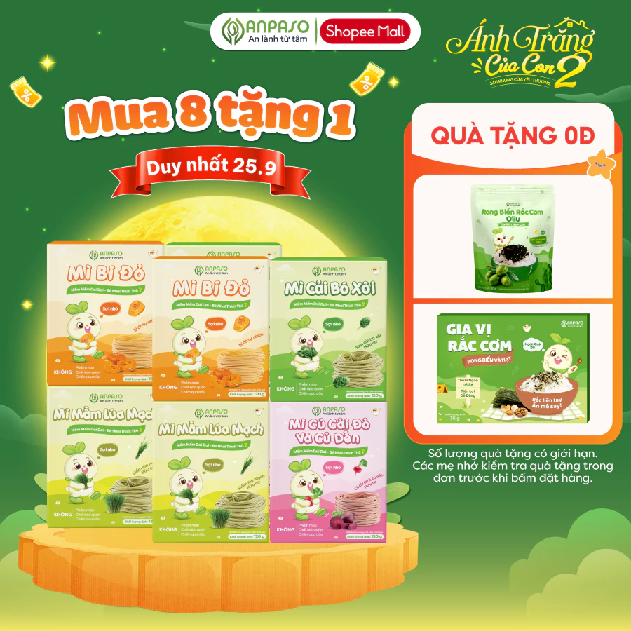 Combo Mì Ăn Dặm Rau củ Anpaso - Combo Mix 4 vị 480g