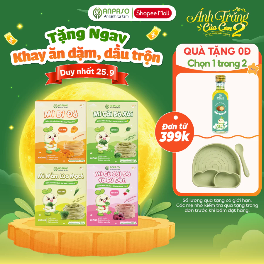 Mì Ăn Dặm cho bé Anpaso -  Đồ Ăn Dặm Cho Bé Vị Rau Củ - Mỳ Cải Bó Xôi Hữu Cơ Organic gói 120g (2)