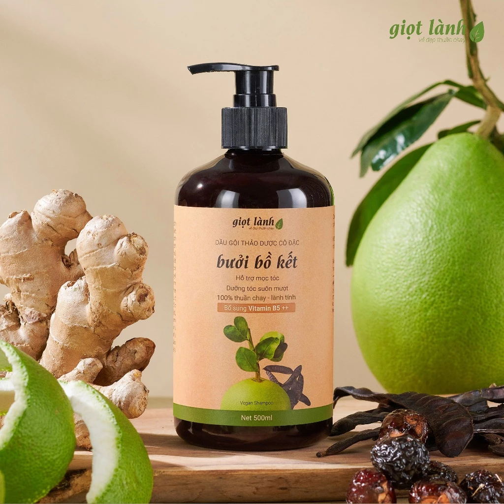 Dầu gội bồ kết - bưởi, dầu gội thảo dược thuần chay hỗ trợ kích mọc tóc Giọt Lành 500ml