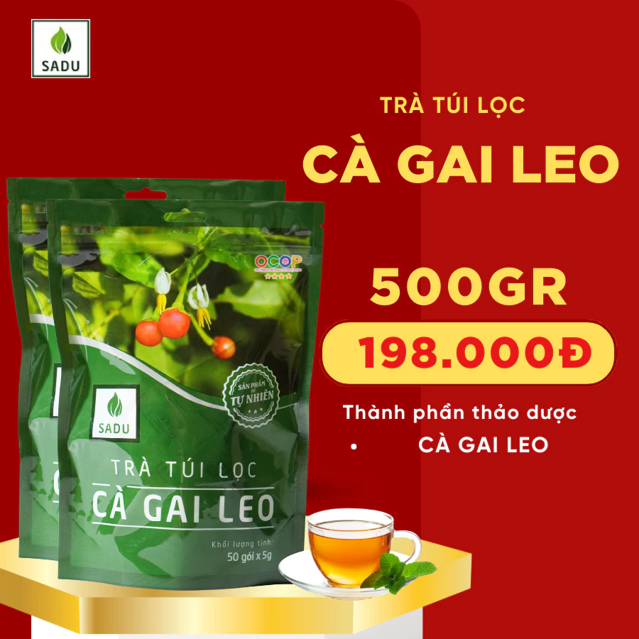 Gói 500g Trà túi lọc cà gai leo sadu thanh nhiệt mát gan bảo vệ gan, tăng cường chức năng gan