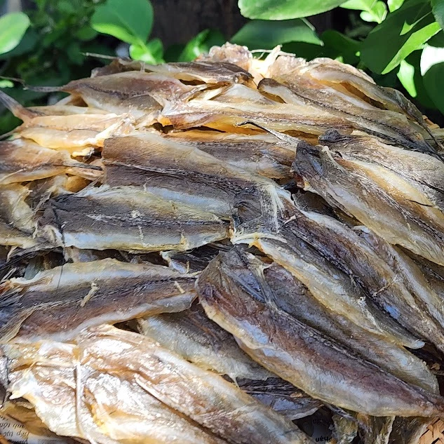 Cá Chai Khô 500g Đặc Sản Nha Trang, Khô Cá Chai Nguyên Con Dày Thịt Không Xương Thơm Ngọt Tự Nhiên
