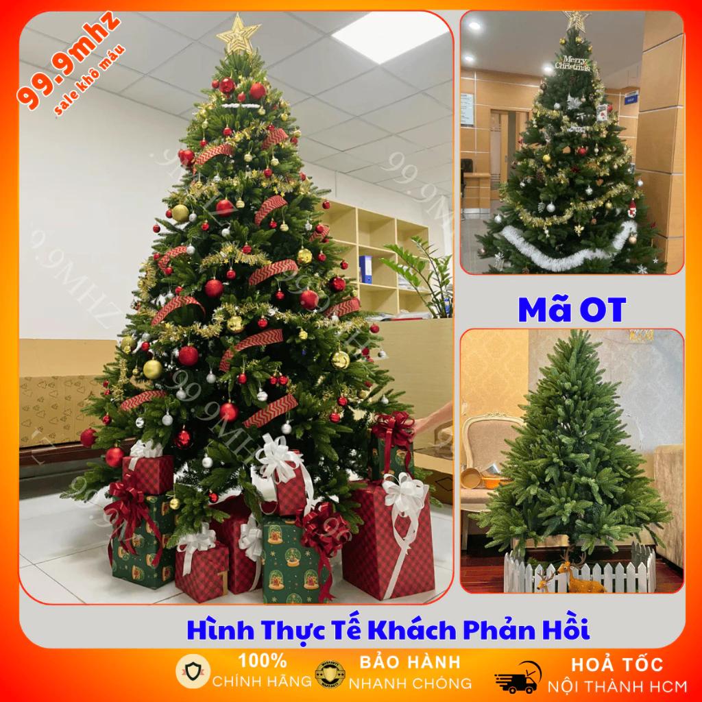 Cây Thông PE Mix Lá Xanh Tán Đại Dầy Rộng Trang Trí Noel Giáng Sinh Hàng Cao Cấp Có Nhiều Mã
