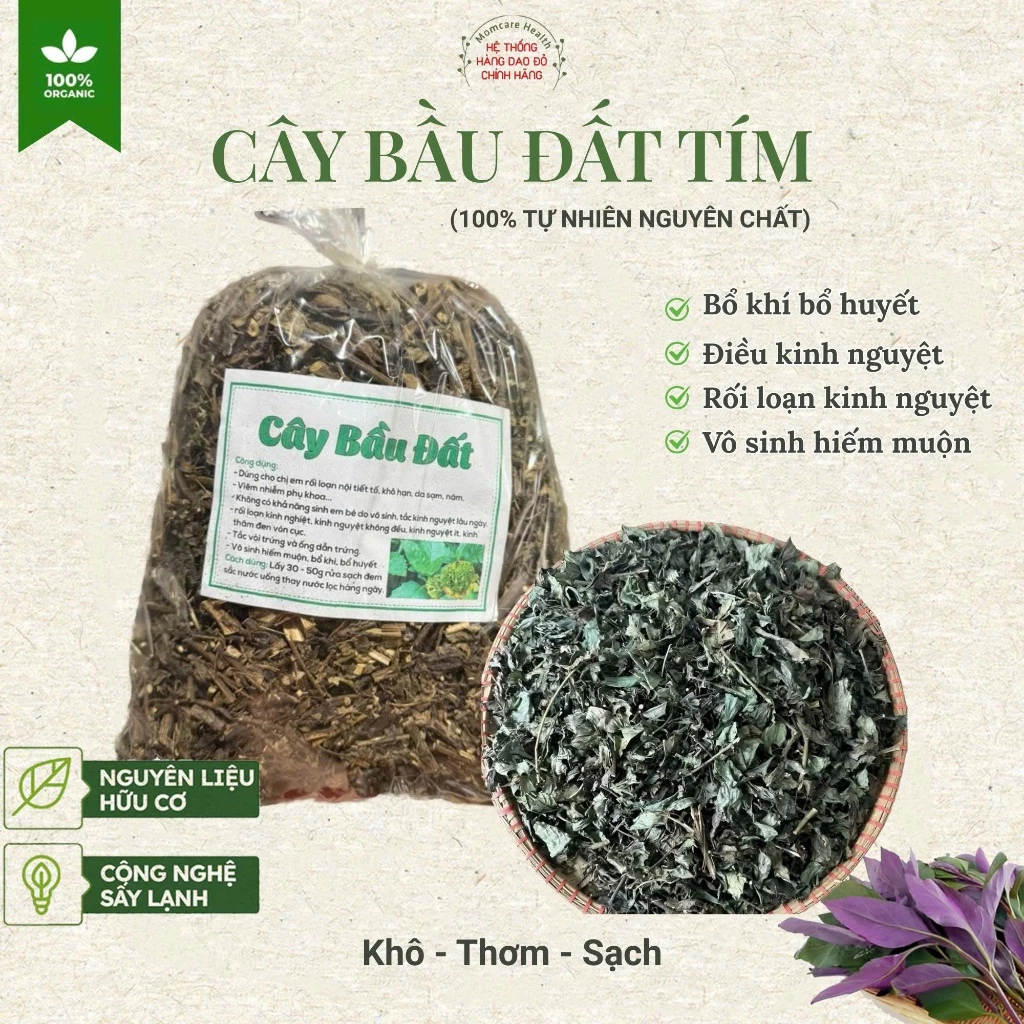1kg Cây bầu đất tím, cây điều kinh, khô tự nhiên