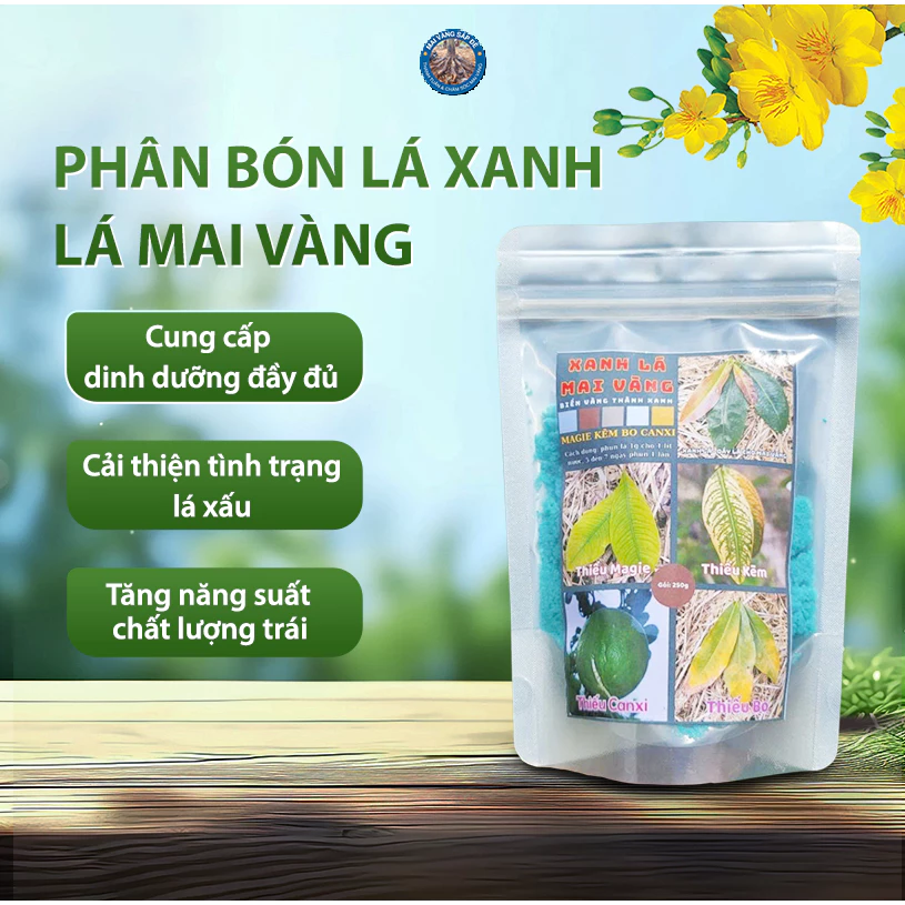 Phân Bón Lá Xanh Lá Mai Vàng, Biến Lá Vàng Thành Xanh, Tăng Đề Kháng, Bổ Sung Vi Lượng