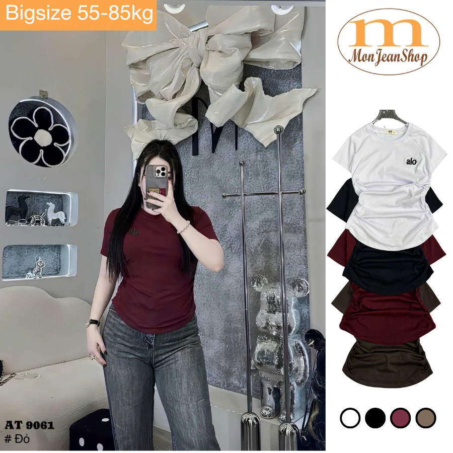 Áo thun baby tee BIGSIZE nữ đen đỏ trắng nâu chất borip cotton thêu chữ size 55-85kg AT9061