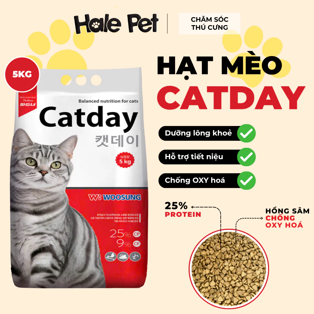 [BAO 5KG] Hạt cho mèo CATDAY 25% đạm - Yucca khử mùi, hồng sâm tăng đề kháng, hỗ trợ tiêu hoá