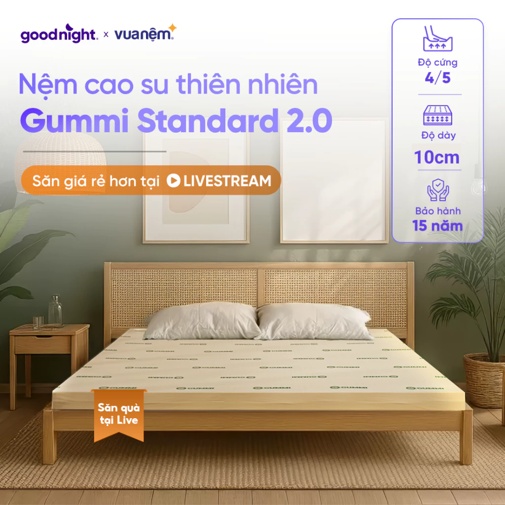 [SĂN QUÀ TẠI LIVE]Nệm Cao Su Thiên Nhiên Gummi Standard 2.0 10cm Vua Nệm, Đệm cao su cao cấp, Vua Nệm
