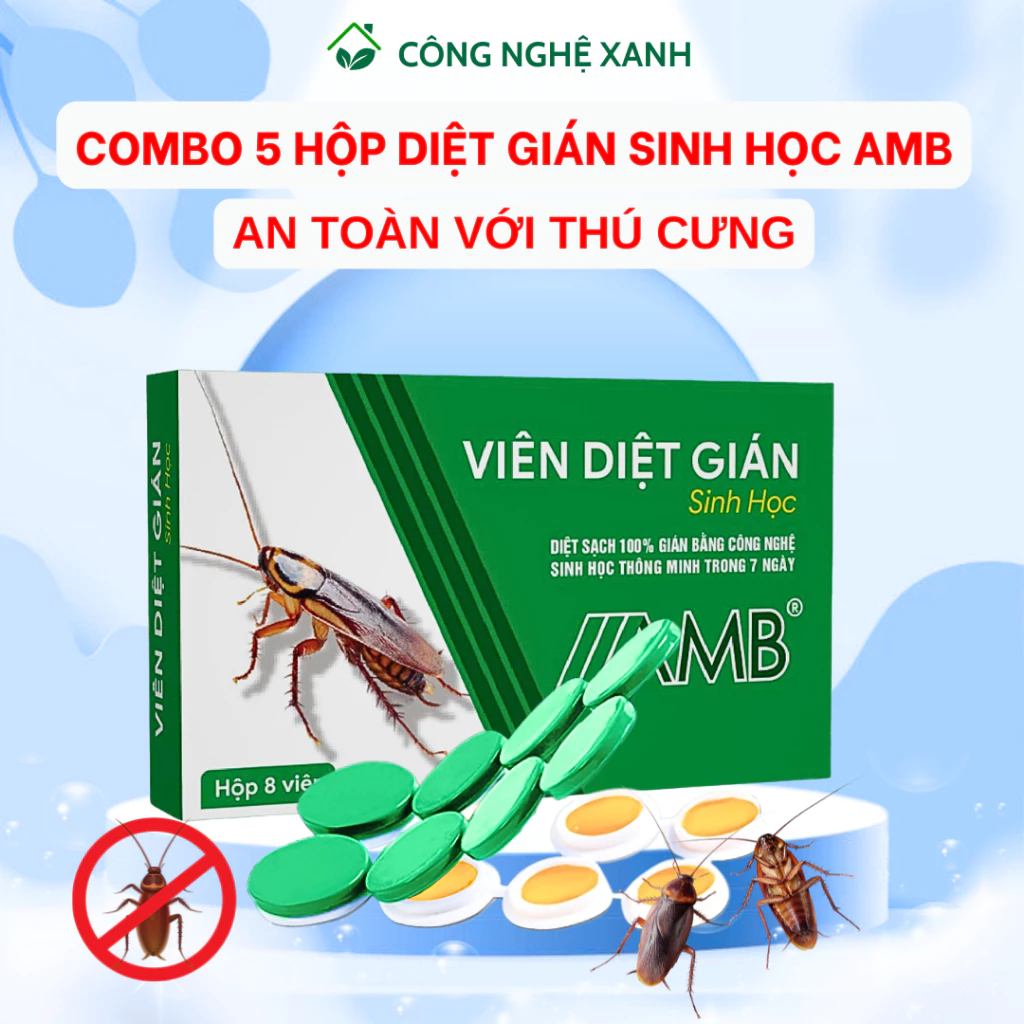Combo 5 Hộp Viên Diệt Gián AMB hiệu quả cao nghiên cứu bởi Viện Hàn Lâm diệt gián theo bầy đàn an toàn cho trẻ nhỏ