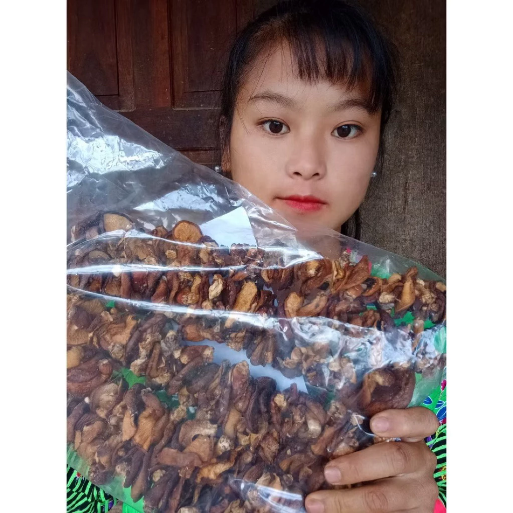 nấm hương rừng nhà em sùng bầu 500gr