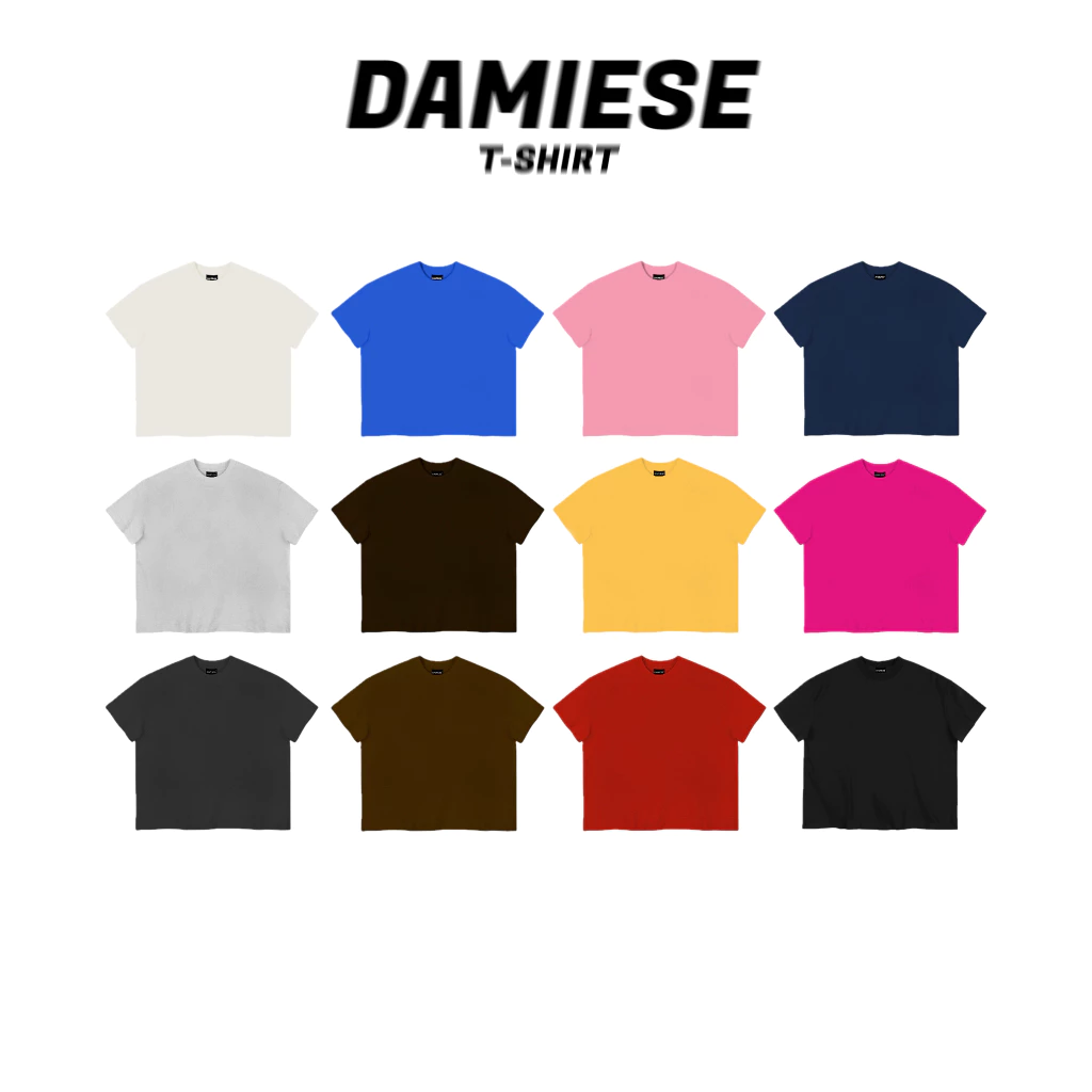 ÁO THUN TRƠN FORM BOXY DAMIESE COTTON 260GSM