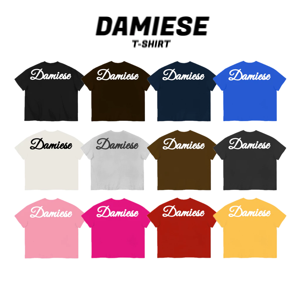 ÁO THUN BOXY DAMIESE 'IN PHỒNG' COTTON 260GSM