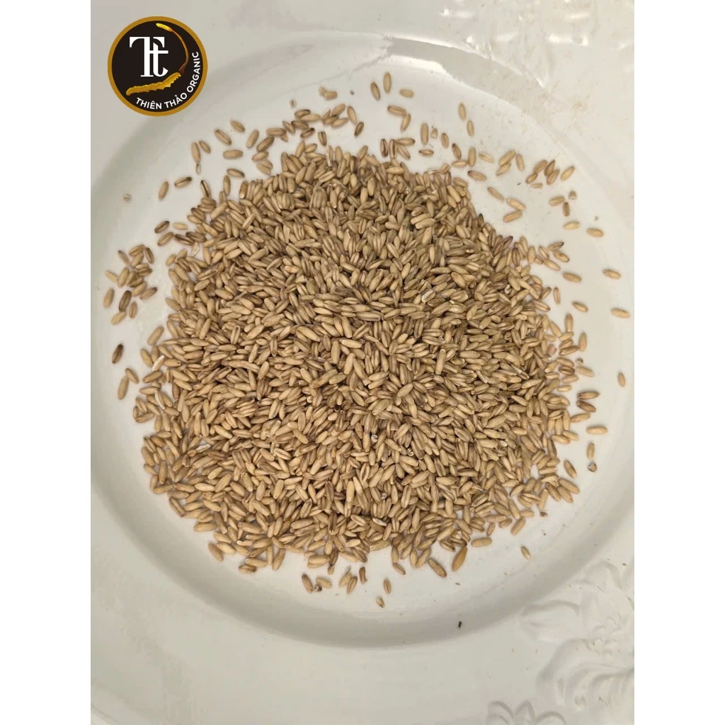 combo 2kg yến mạch nguyên hạt nguyên cám đã tách sạch vỏ thơm bùi béo tiện lợi nhiều dinh dưỡng Thiên Thảo Organic