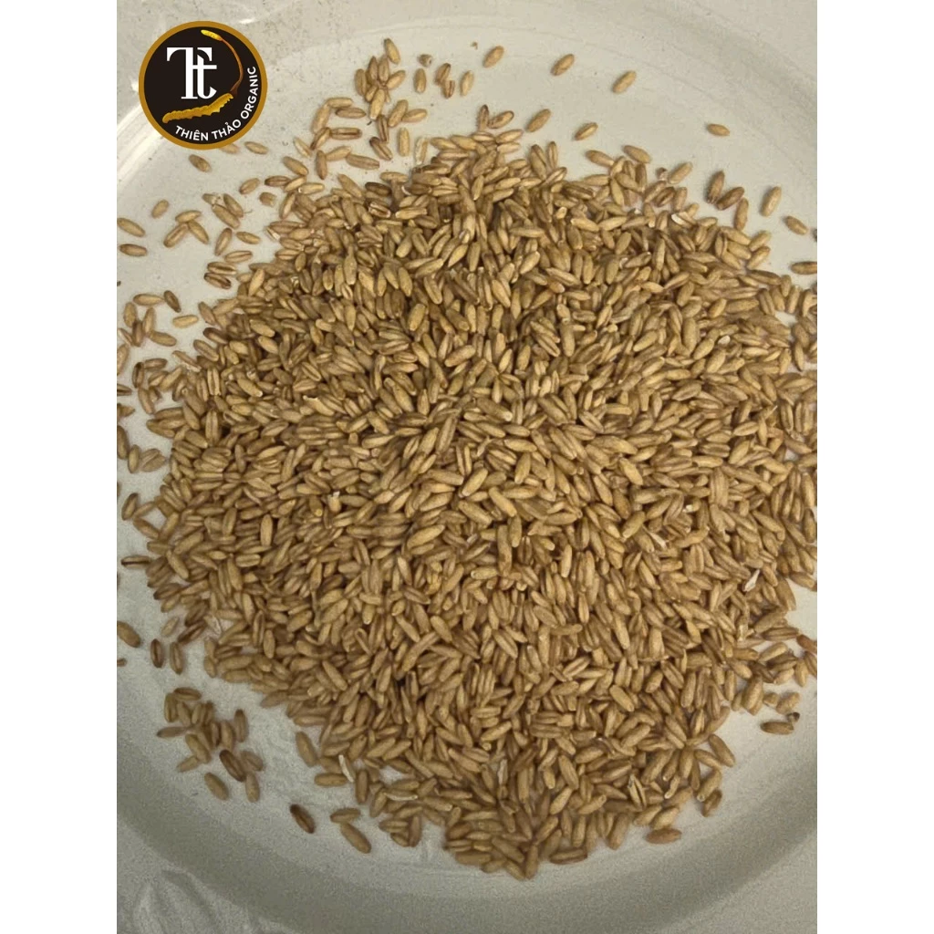 1kg yến mạch nguyên hạt nguyên cám đã tách sạch vỏ tiện lợi nhiều dinh dưỡng Thiên Thảo Organic