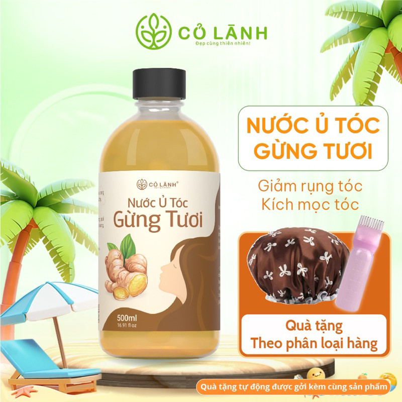 Nước Ủ Tóc Gừng Tươi Cỏ Lành - Giup Giam Rụng Tóc - Kích Thích Mọc Tóc