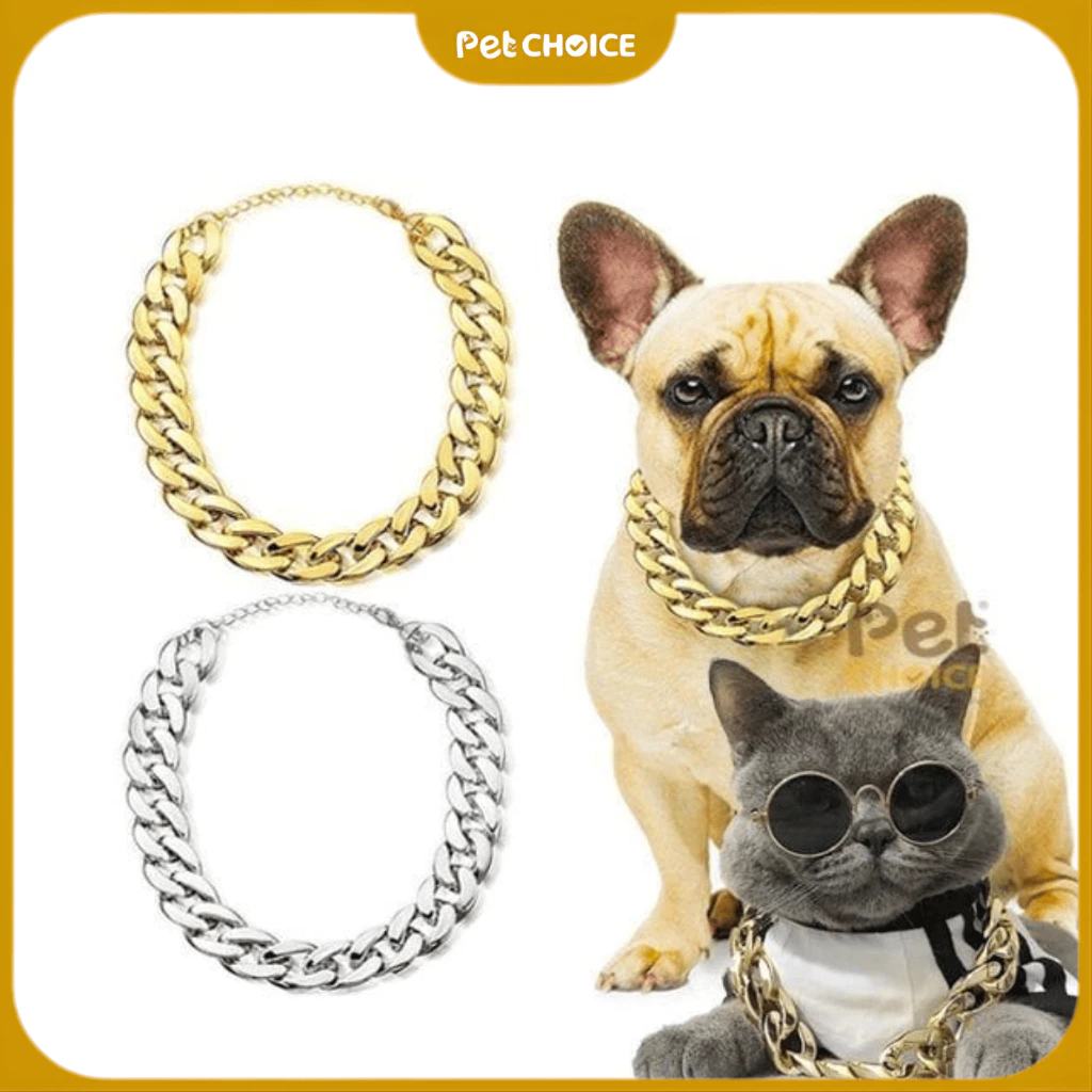 Vòng cổ cho chó mèo, dây chuyền vàng, bạc, phụ kiện thời trang sành điệu cho thú cưng - PetChoice