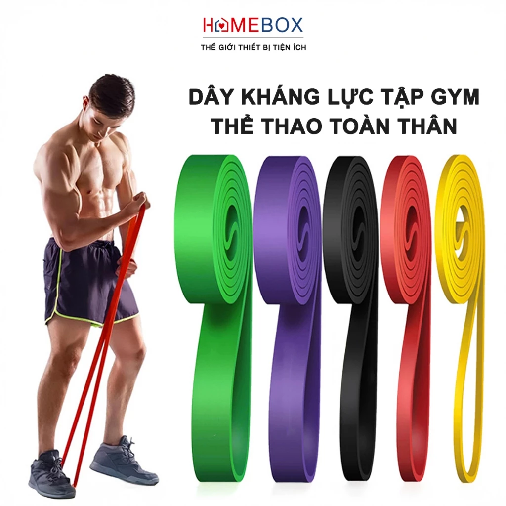 Dây Kháng Lực Tập Gym Toàn Thân, Dây Trợ Lực Kéo Xà Hỗ Trợ Tăng Cơ Tập Chân Tay Thể Thao Tại Nhà