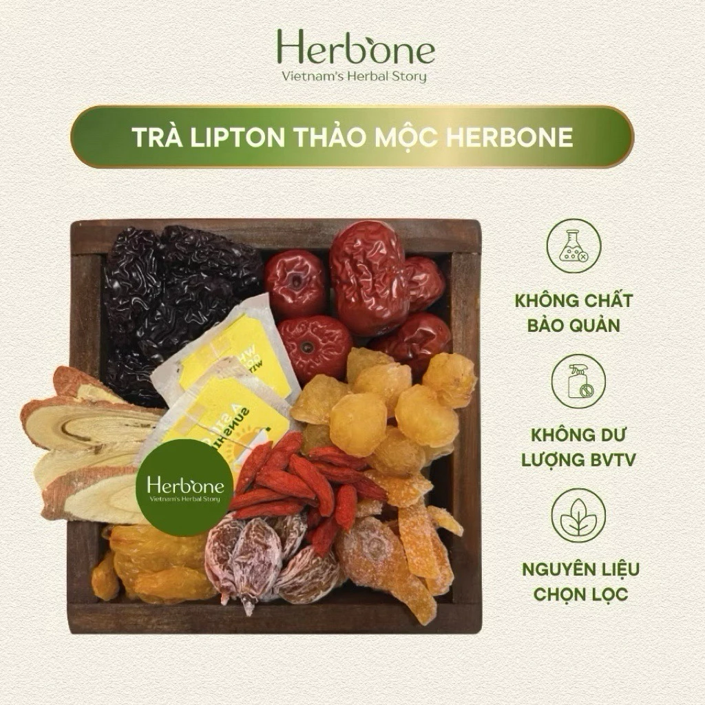 Trà Lipton Cam Thảo Xí Muội HERBONE Thanh Nhiệt Thải Độc Mát Gan