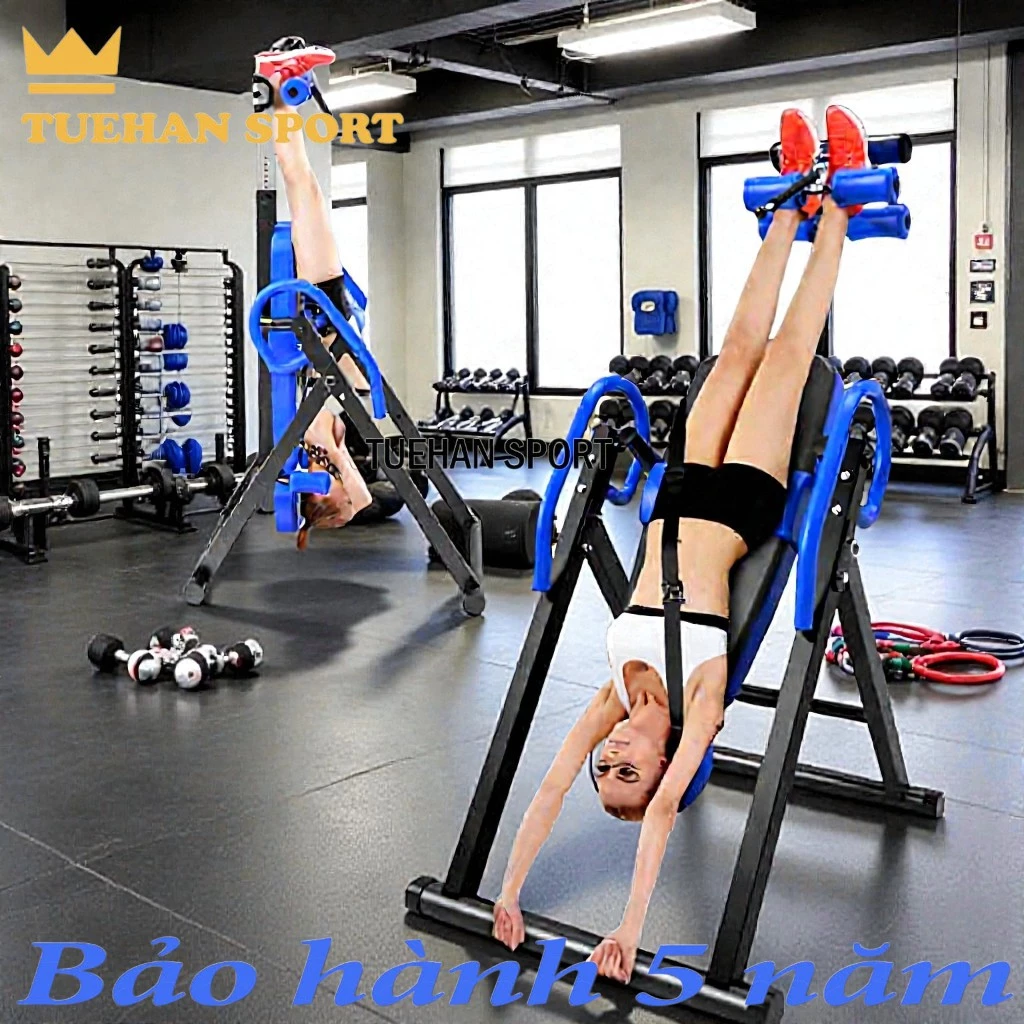 Ghế tập dốc ngược hỗ trợ điều trị đau thắt lưng, thoát vị đĩa đệm - Máy tăng chiều cao ZQ-8801 - Bảo hành 5năm