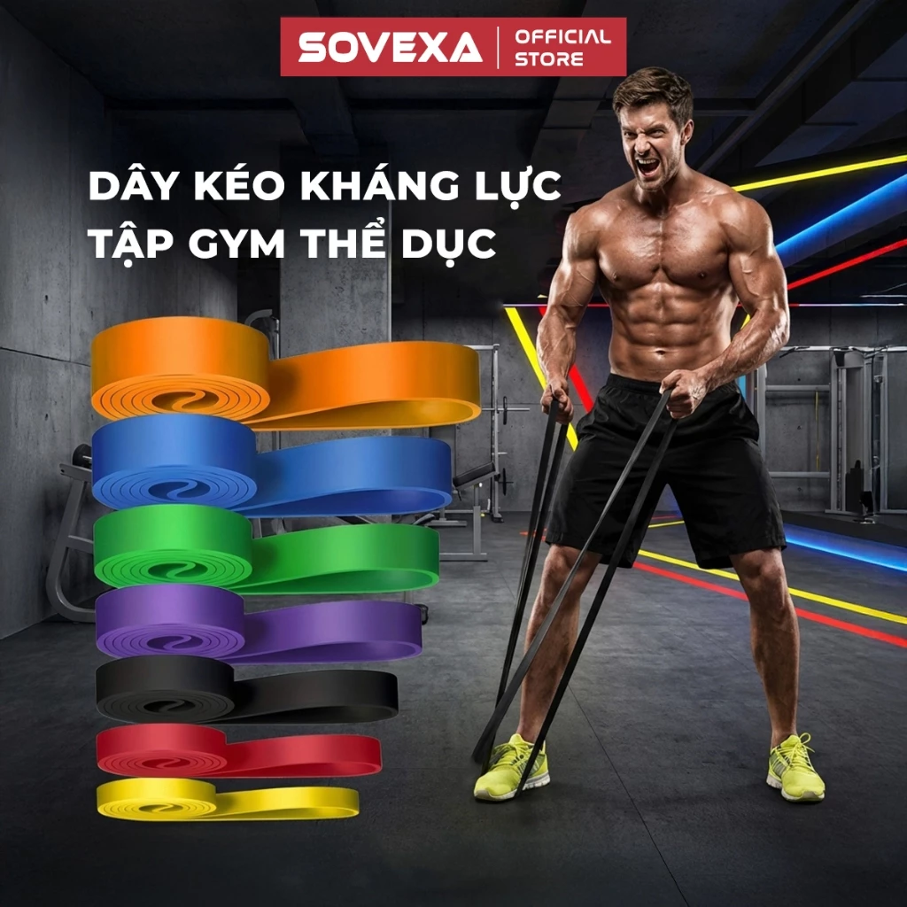 Dây Kháng Lực Tập Gym Toàn Thân SOVEXA Dây Trợ Lực Kéo Xà Hỗ Trợ Tăng Cơ Tập Chân Tay Tại Nhà