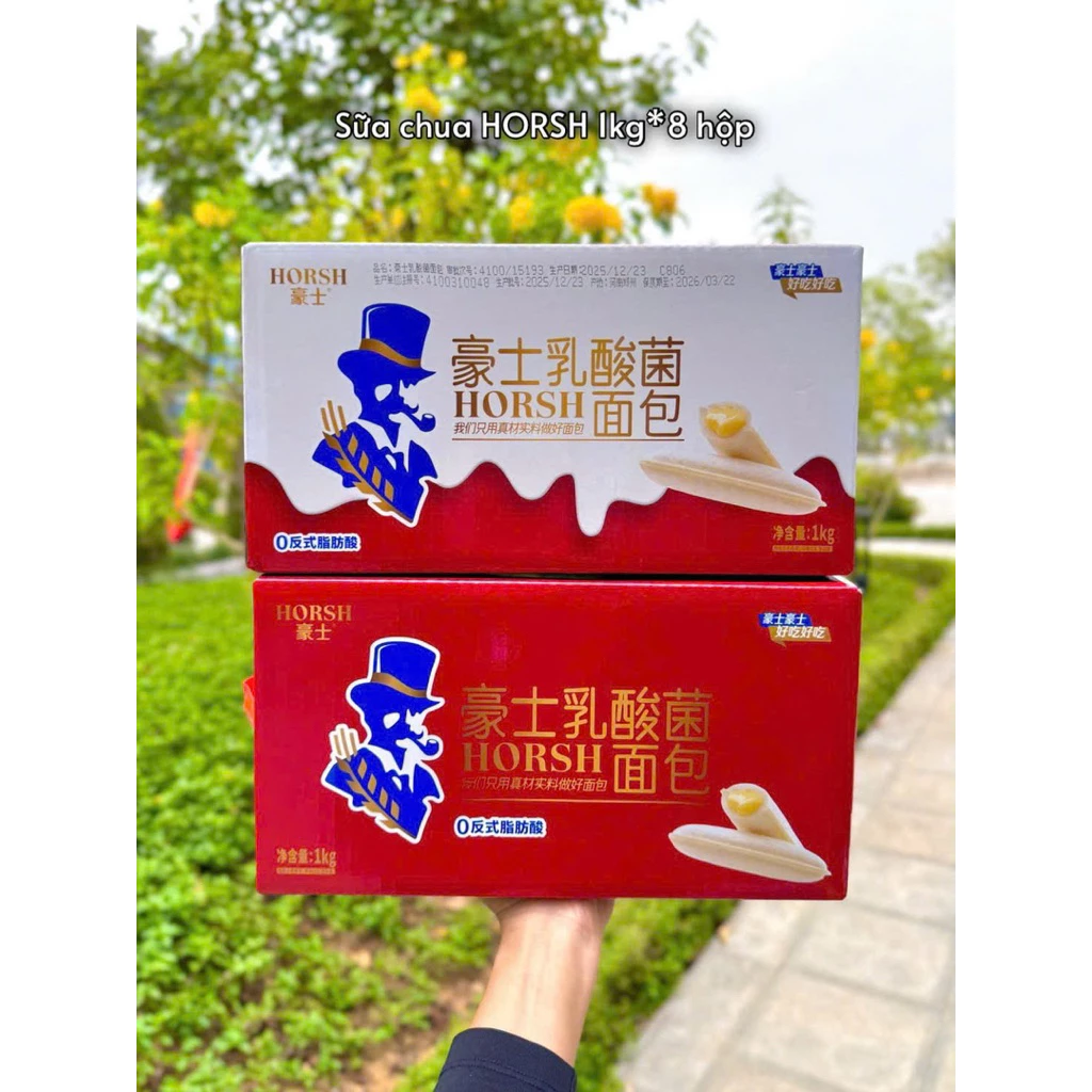 THÙNG BÁNH SỮA CHUA HORSH PHIÊN BẢN QUÀ TẾT 1 KÍ ĂN VẶT SIÊU NGON HOT