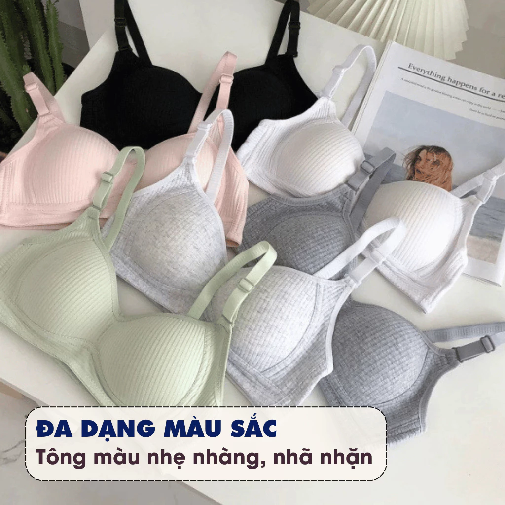 [ MẪU MỚI ] Áo Ngực Nữ Cotton Gân Mềm Thoải Mái, Áo Lót Nữ Không Gọng Mặc Hằng Ngày AMYBRA A414