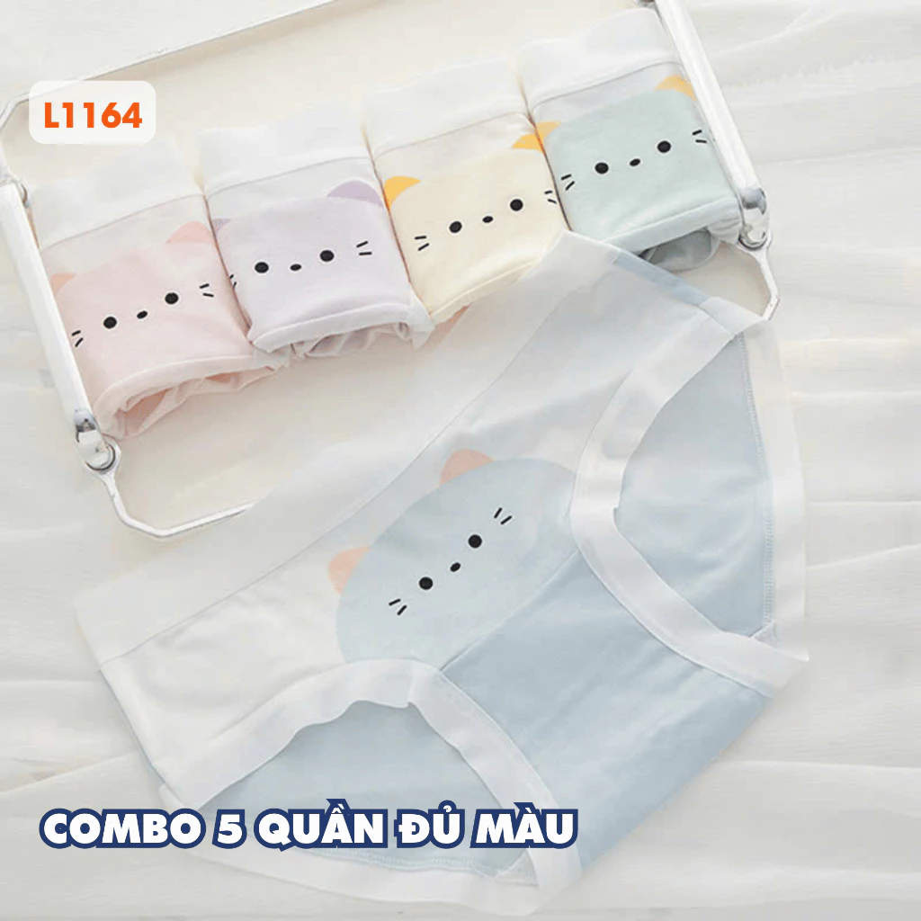 [ MẪU MỚI ] Combo 5 Quần Lót Nữ Cotton Thoáng Khí, Set 5 Quần Chip Nữ Ôm Mông Co Giãn AMYBRA New