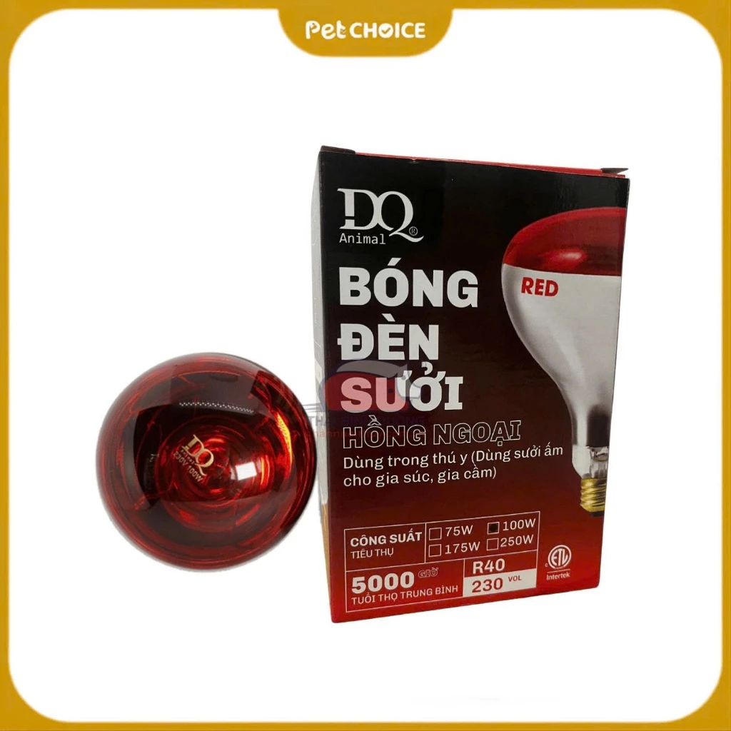 Bóng đèn sưởi ấm hồng ngoại DQ cho chó mèo, thú cưng, rùa, bò sát, úm gà heo 100W, 175W, 250W