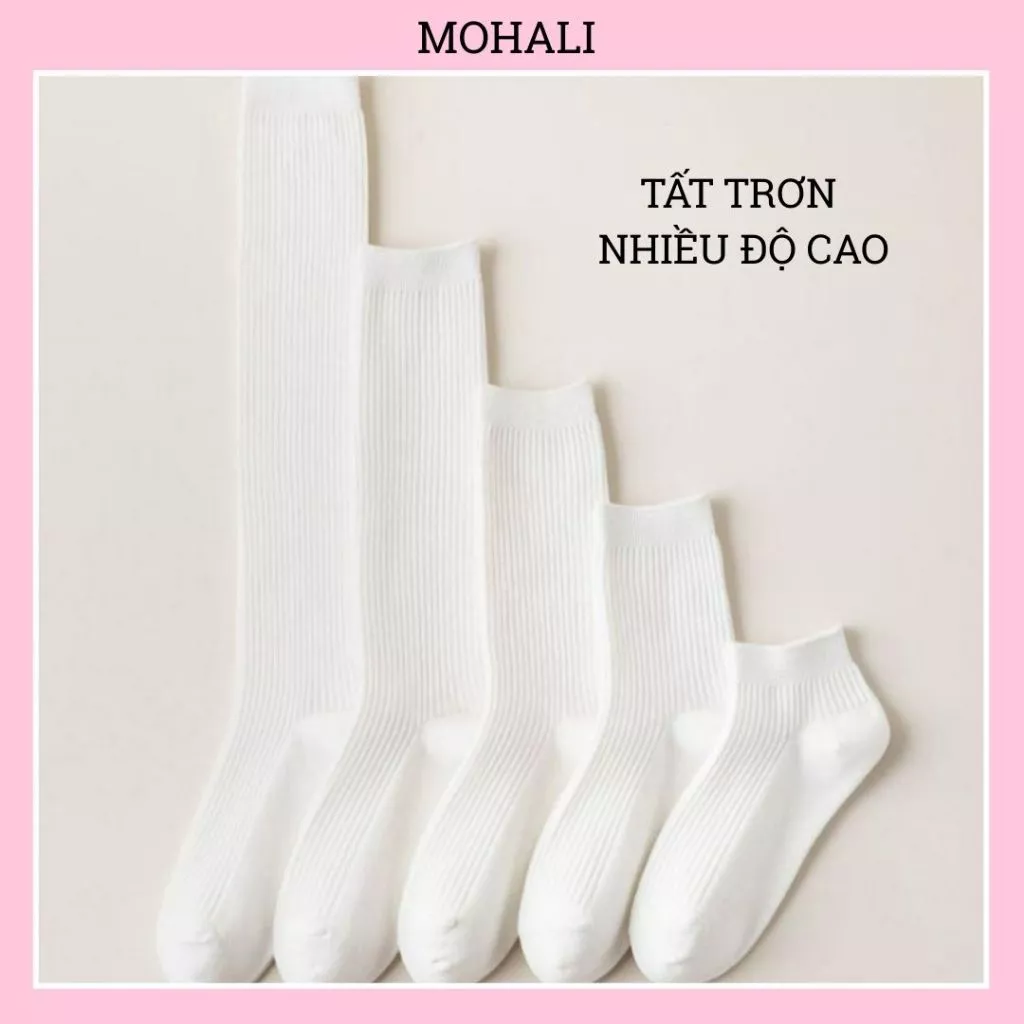 Vớ tất TRƠN NHIỀU ĐỘ CAO chất cotton gân ôm gọn chân thoág khí thoái mái thấm hút mồi hôi tốt VC002
