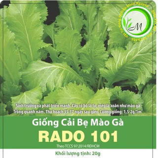 Hạt giống cải bẹ mào gà cải bẹ vàng 20g