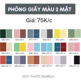 Phông Nền Chụp Ảnh 55x85cm - Phông Nền Giấy Màu 2 Mặt Pastel Làm Phông Chụp Hình