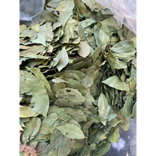 Lá nguyệt quế khô gói 50g100g