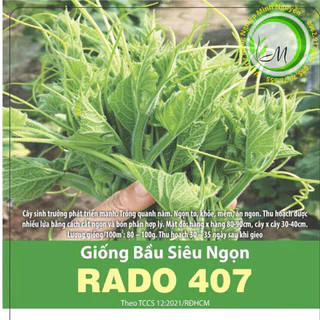 Hạt giống rau bí siêu ngọn, bầu ăn ngọn,bí ngô ăn ngọn, bầu siêu ngọn trồng quanh năm