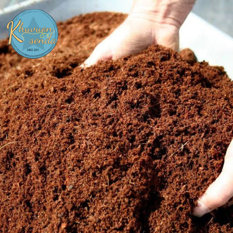 Mụn Xơ Dừa COCOPEAT Đã Qua Xử Lí - Giá Thể Đất Trồng Sen Đá, Xương Rồng, Lan Kiểng, Hạt Giống, Rau, Hoa, Cây Kiểng (2L)