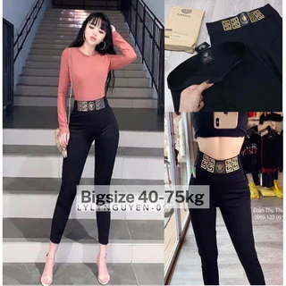 Quần Legging Cạp Chun Bản To Nữ bigsize 40-75kg - Hàng Umi Hàn Quốc Dày Dặn - Mã  versace