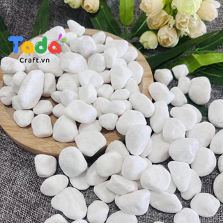 500GR Sỏi trắng tự nhiên trang trí chậu cây, chậu hoa len, decor chụp ảnh