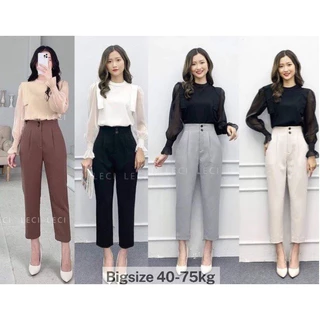 Quần baggy hai cúc liên trước dài 90-95cm đủ 4 màu đen nâu ghi be  cho đến 65kg-Mã 457