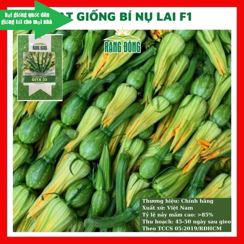 Hạt giống bí nụ lai F1 giòn ngon -GÓI 10 HẠT (hạt giống quốc dân)