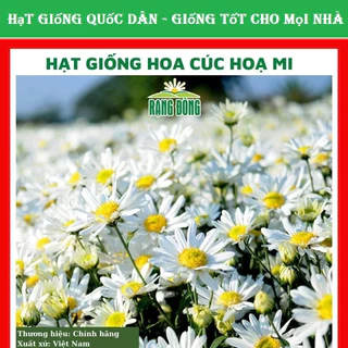 Hạt giống hoa cúc hoạ mi đẹp trồng sân vườn-GÓI 200 HẠT (hạt giống quốc dân)