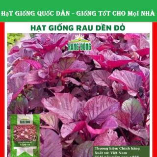 Hạt giống rau dền đỏ cao sản - gói 10g (hạt giống quốc dân)