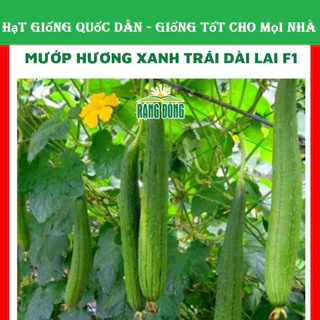 Hạt giống mướp hương xanh trái dài lai F1 -GÓI 5 HẠT (hạt giống quốc dân)