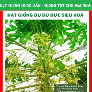 Hạt giống đu đủ đực siêu hoa 10 hạt F1 (hạt giống quốc dân)