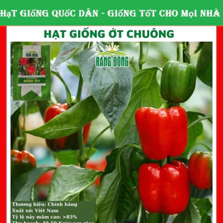 Hạt giống ớt chuông -GÓI 10 HẠT (hạt giống quốc dân)