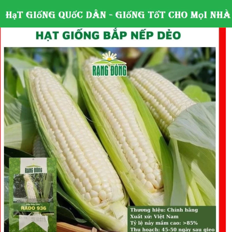 Hạt giống bắp nếp dẻo thơm ngon (ngô nếp) - GÓI 5G (hạt giống quốc dân)