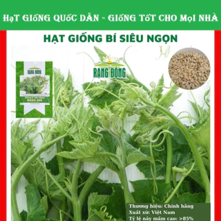 Hạt giống bí siêu ngọn giòn ngọt - GÓI 10G (hạt giống quốc dân)