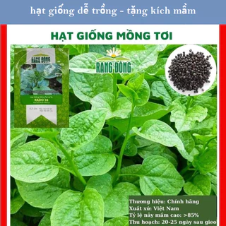 Hạt giống mồng tơi siêu ngọn -gói 10g