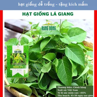 Hạt giống lá giang nấu canh chua - GÓI 5 HẠT